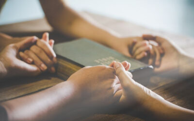 What the Titus 2 Model Looks Like Today