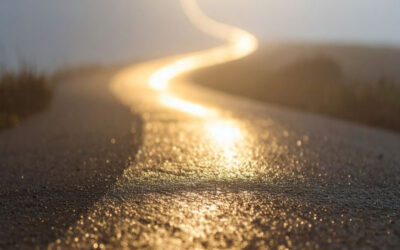 Learning to Trust God in  Seasons That Don’t Make Sense Yet