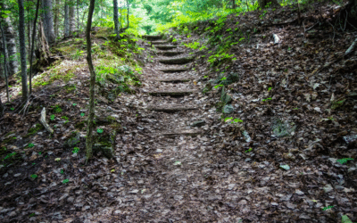 How to Develop Tenacity as a Leader:  Following God’s Direction When It’s Hard