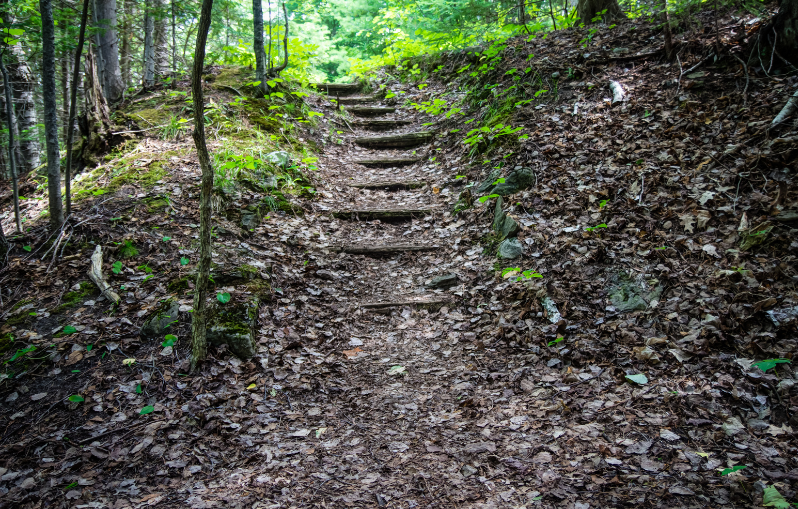 How to Develop Tenacity as a Leader:  Following God’s Direction When It’s Hard